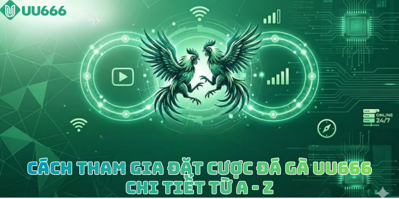 Đá gà uu666